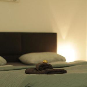 Appartement met een Slaapkamer